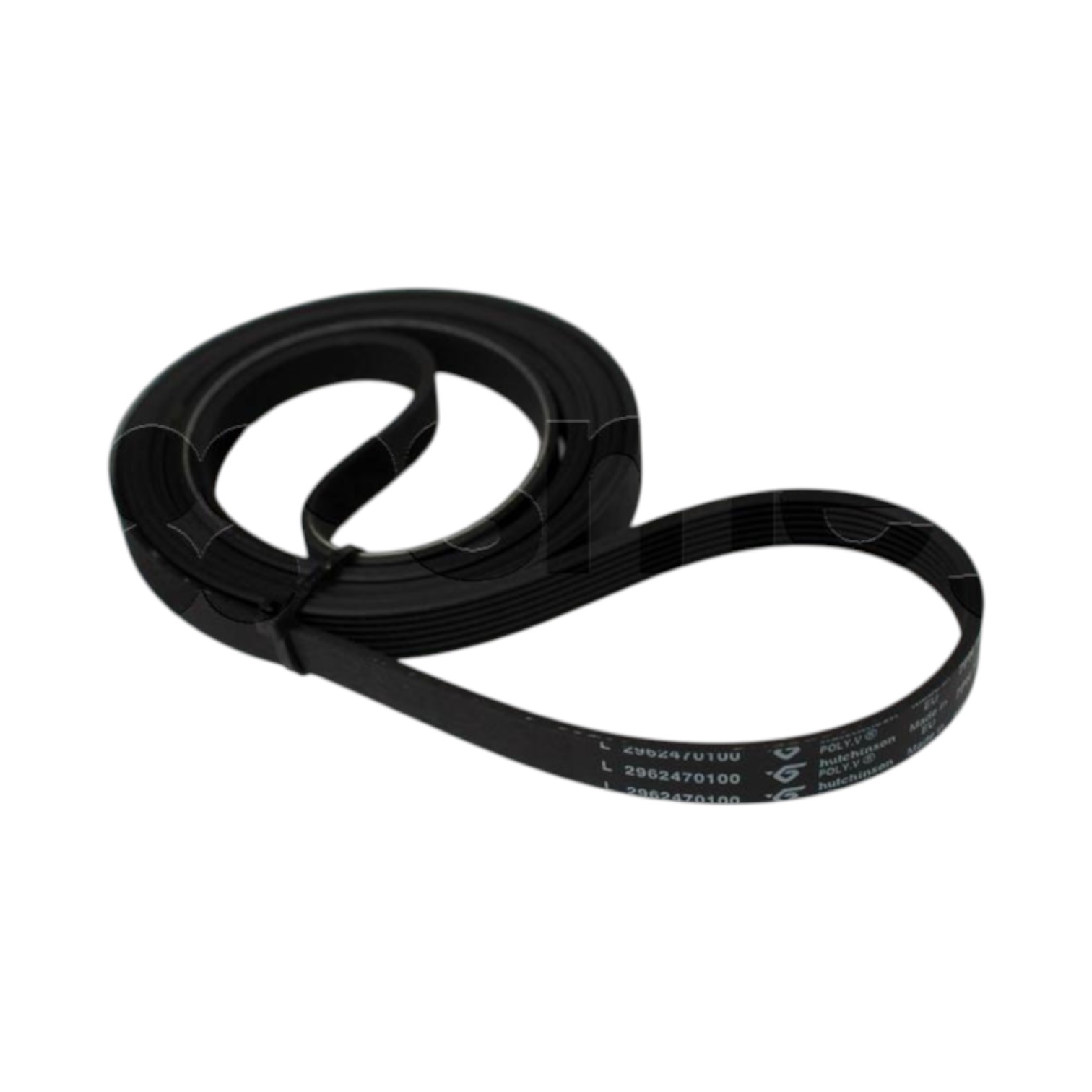 751610150 Smeg Dryer Main Drive Belt